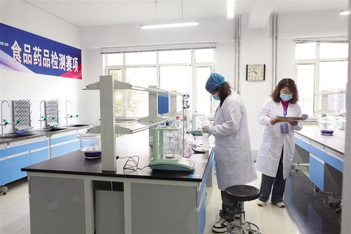 聚英才 展絕活 創未來 信息技術咨詢服務的時代價值