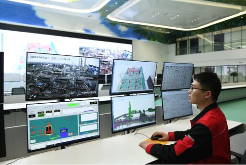 面向數字化未來，打造化工百年老店的信息技術咨詢服務